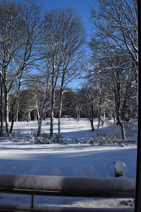 Henne Hahnenklee Daire Goslar Dış mekan fotoğraf