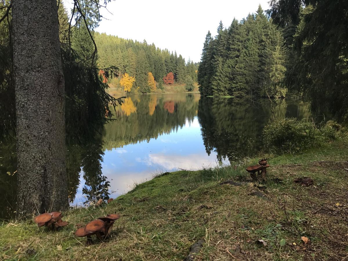 Henne Hahnenklee Daire Goslar Dış mekan fotoğraf